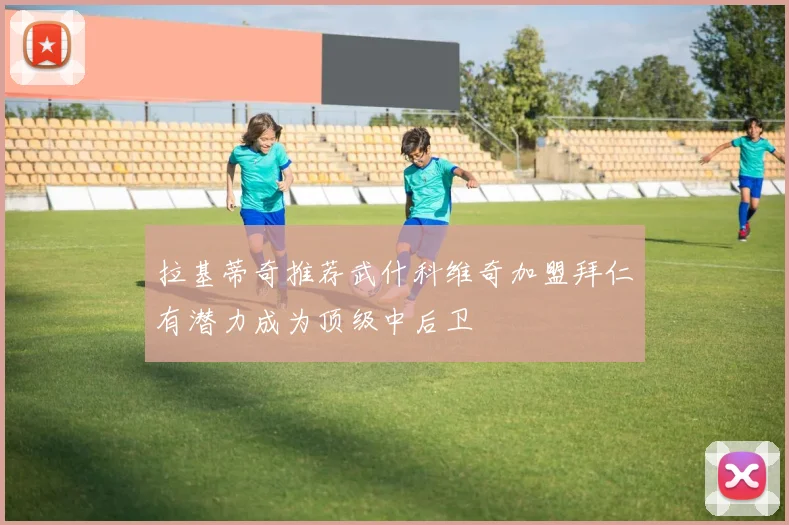 拉基蒂奇推荐武什科维奇加盟拜仁有潜力成为顶级中后卫